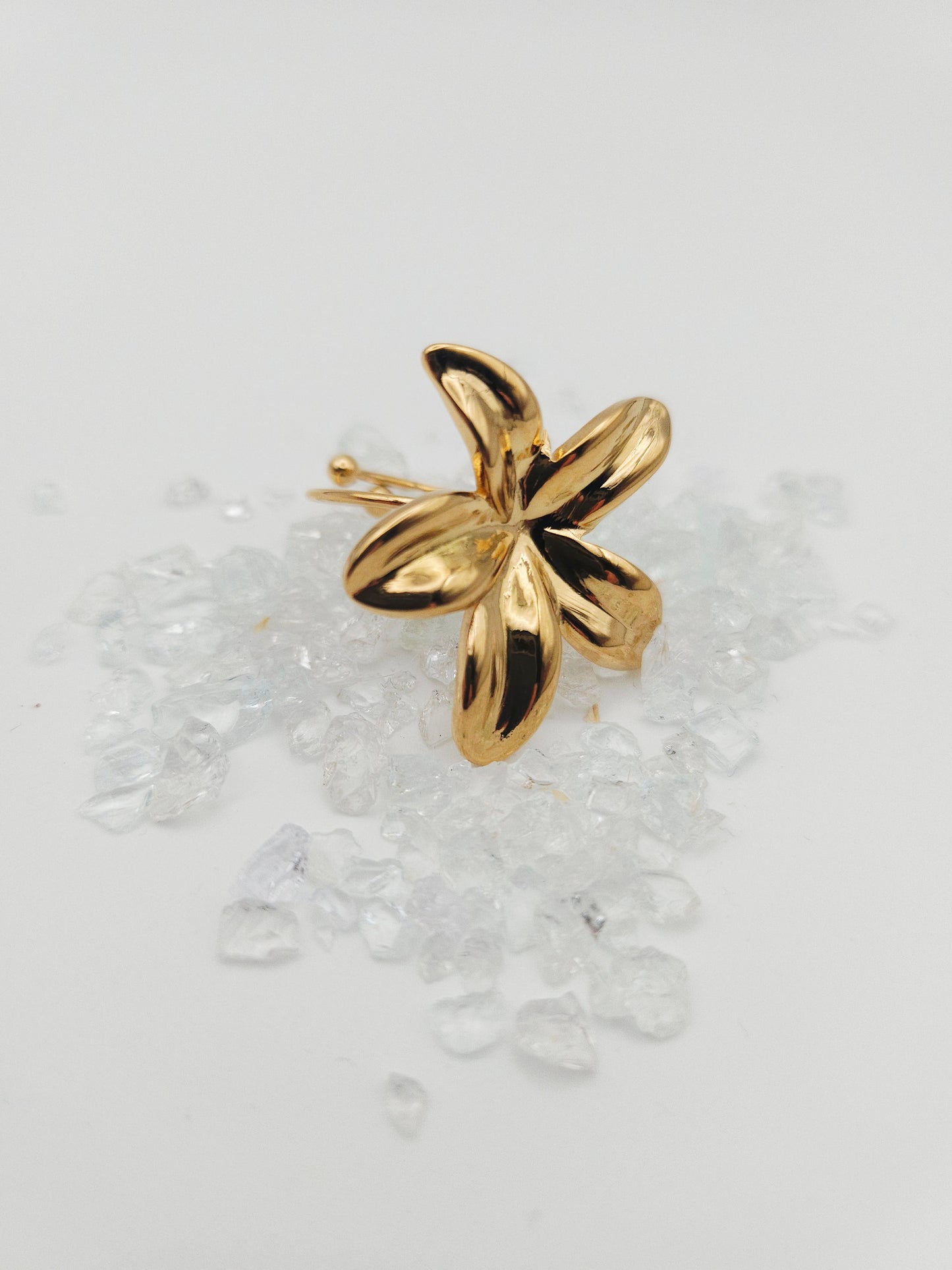 🌸 Bague Flore Céleste ✨