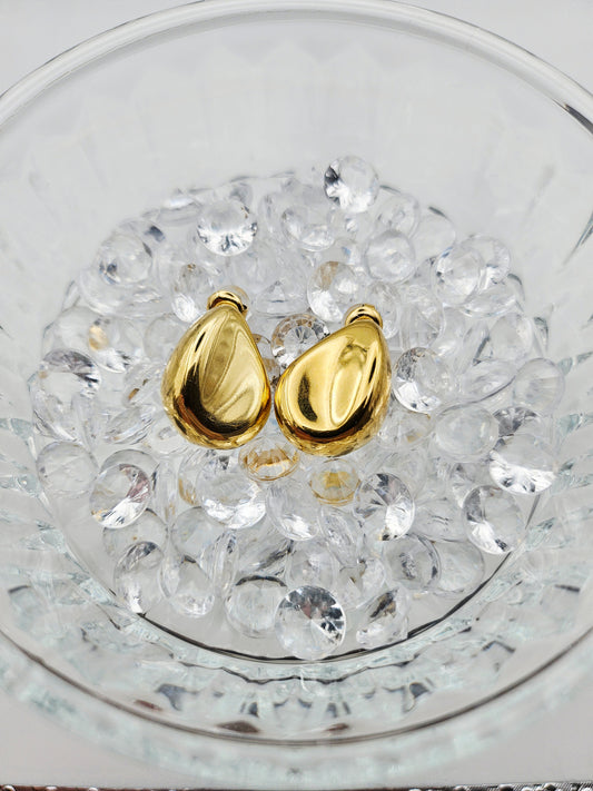🌟 Boucles d'oreilles Léonore💧